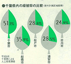 千葉県内の緑被率の比較